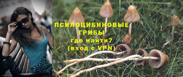 амф Алексин