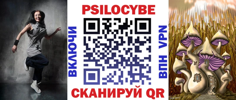 Псилоцибиновые грибы Psilocybe  blacksprut вход  Костерёво 